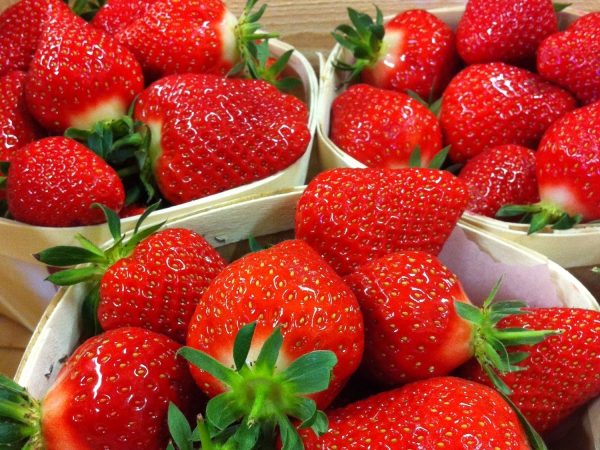 Fraises de Cavaillon – Monteux