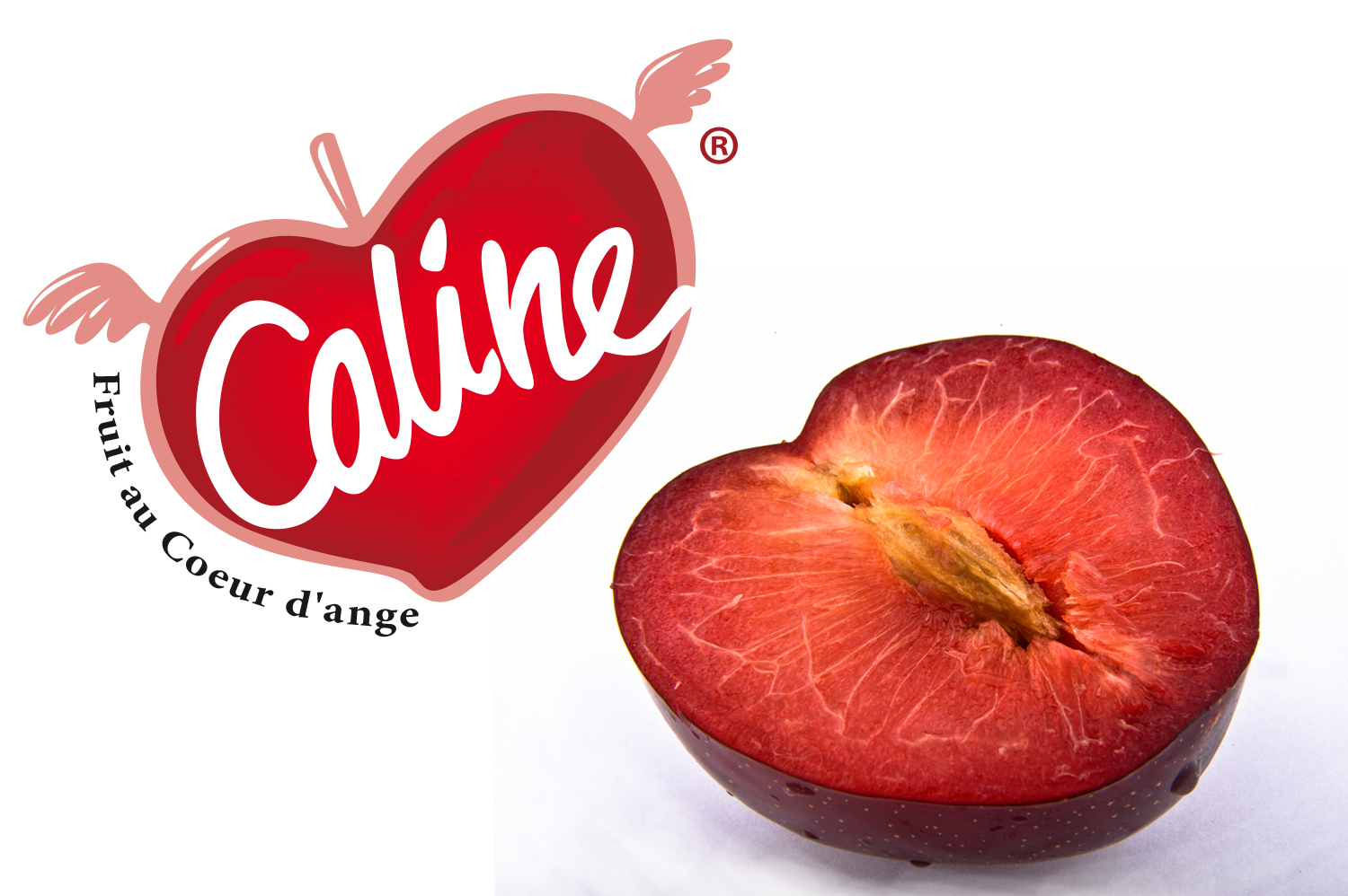 Caline ® – Le fruit au cœur d’Ange